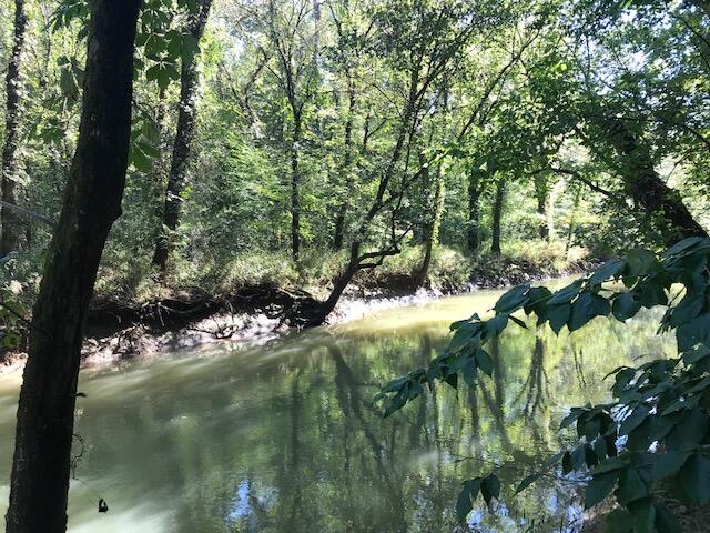 34 Pinhook Road Calhoun, TN 37309 - Photo 2 of 21 CHestuee 34 Riverfront 2