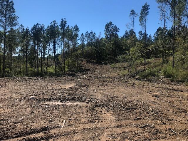 34 Pinhook Road Calhoun, TN 37309 - Photo 8 of 21 Chestuee 34 clearing