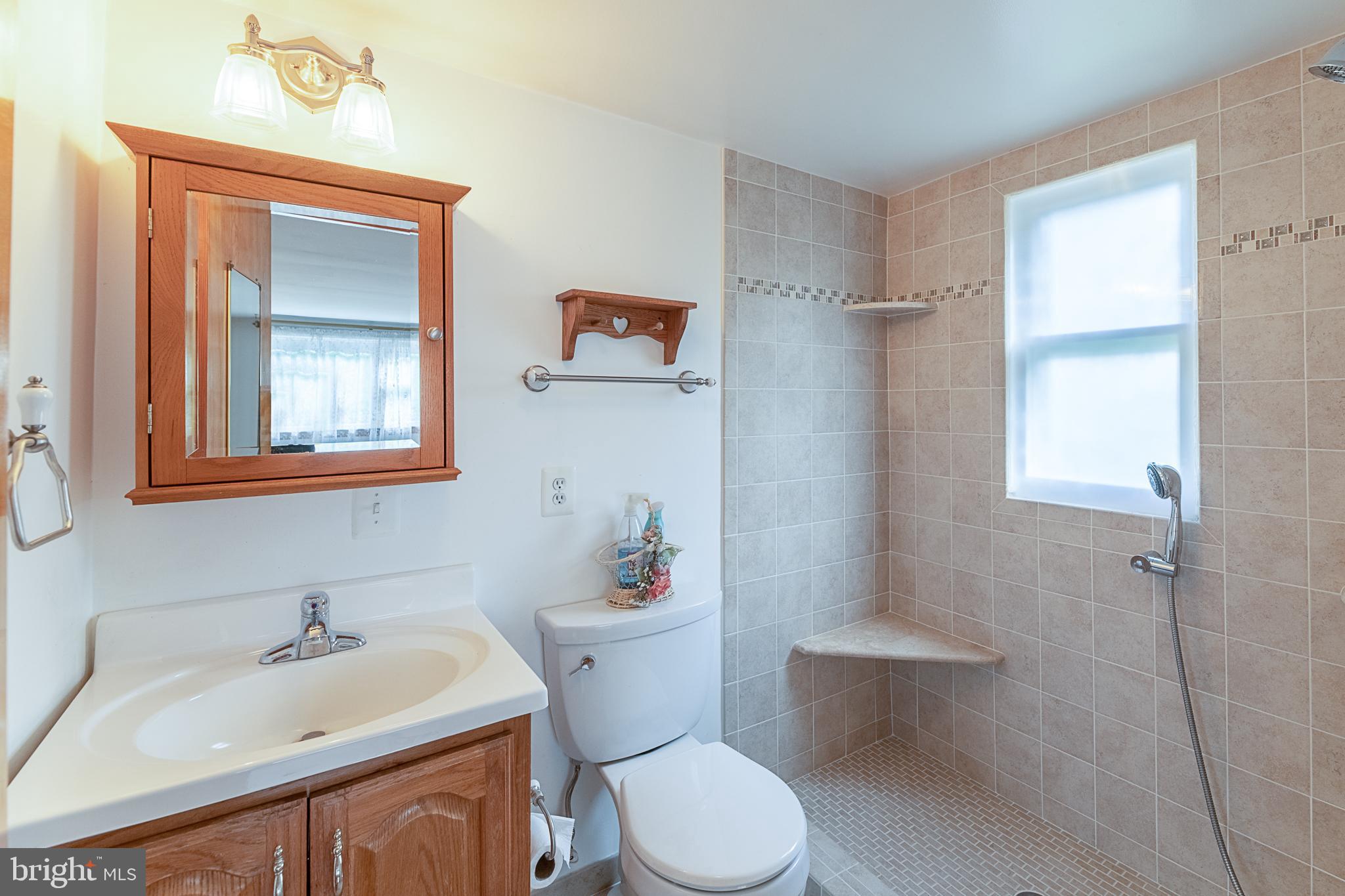 13125 Loyalty Road Leesburg, VA 20176 - Photo 15 of 58 Master Bathroom
