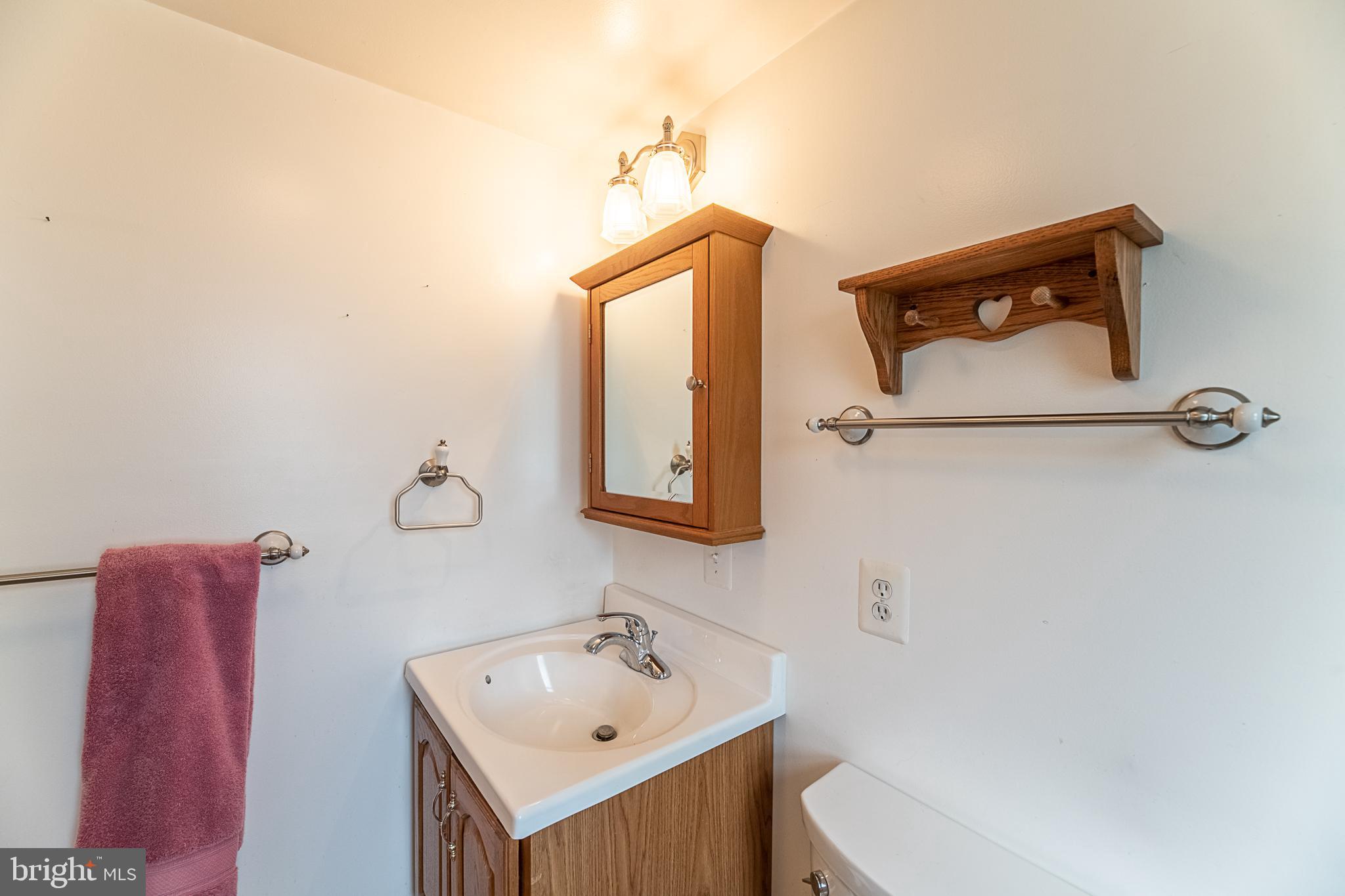 13125 Loyalty Road Leesburg, VA 20176 - Photo 16 of 58 Master Bathroom