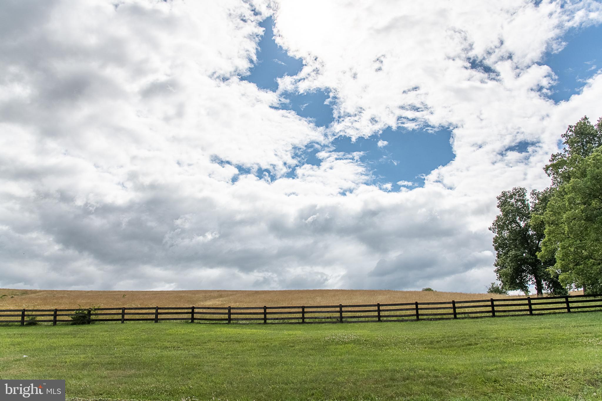 13125 Loyalty Road Leesburg, VA 20176 - Photo 54 of 58 Scenic view of backyard