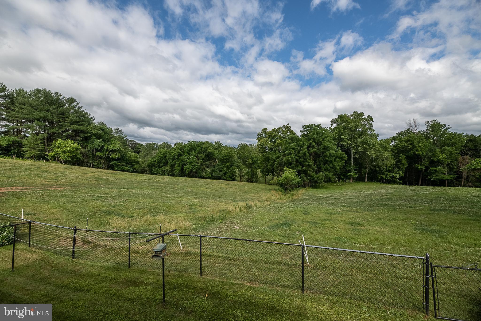 13125 Loyalty Road Leesburg, VA 20176 - Photo 56 of 58 Scenic view of backyard