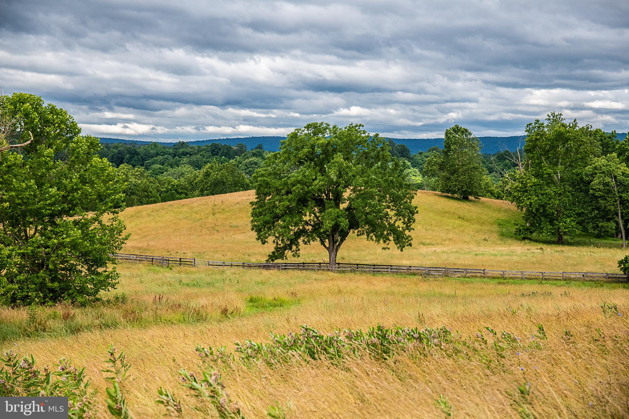 13125 Loyalty Road Leesburg, VA 20176 - Photo 57 of 58 Scenic view of backyard
