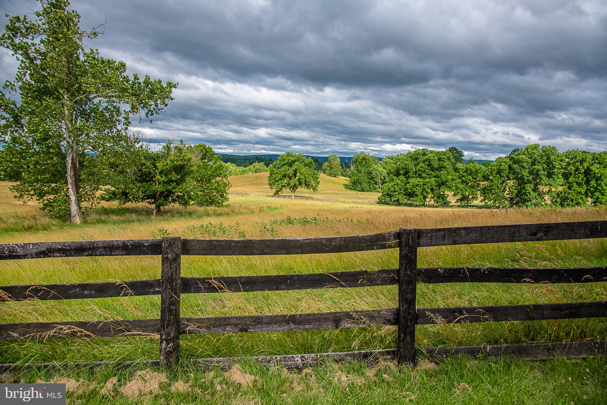 13125 Loyalty Road Leesburg, VA 20176 - Photo 58 of 58 Scenic view of backyard