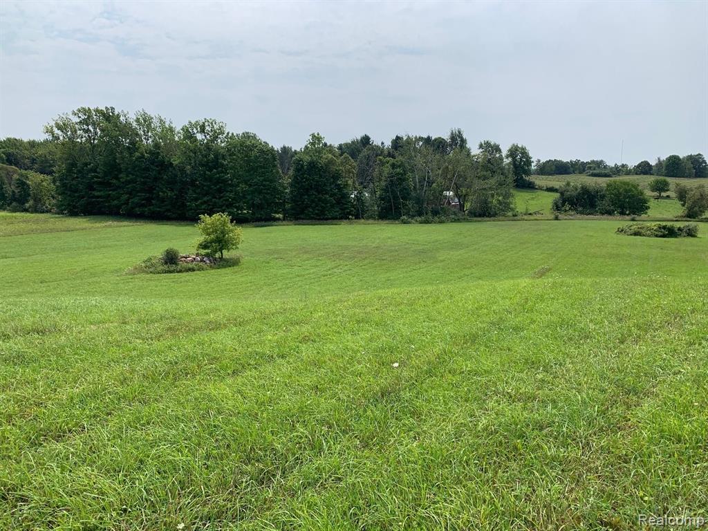 7510 North Lake Road Millington, MI 48746 - Photo 23 of 29 Gallery Image 23