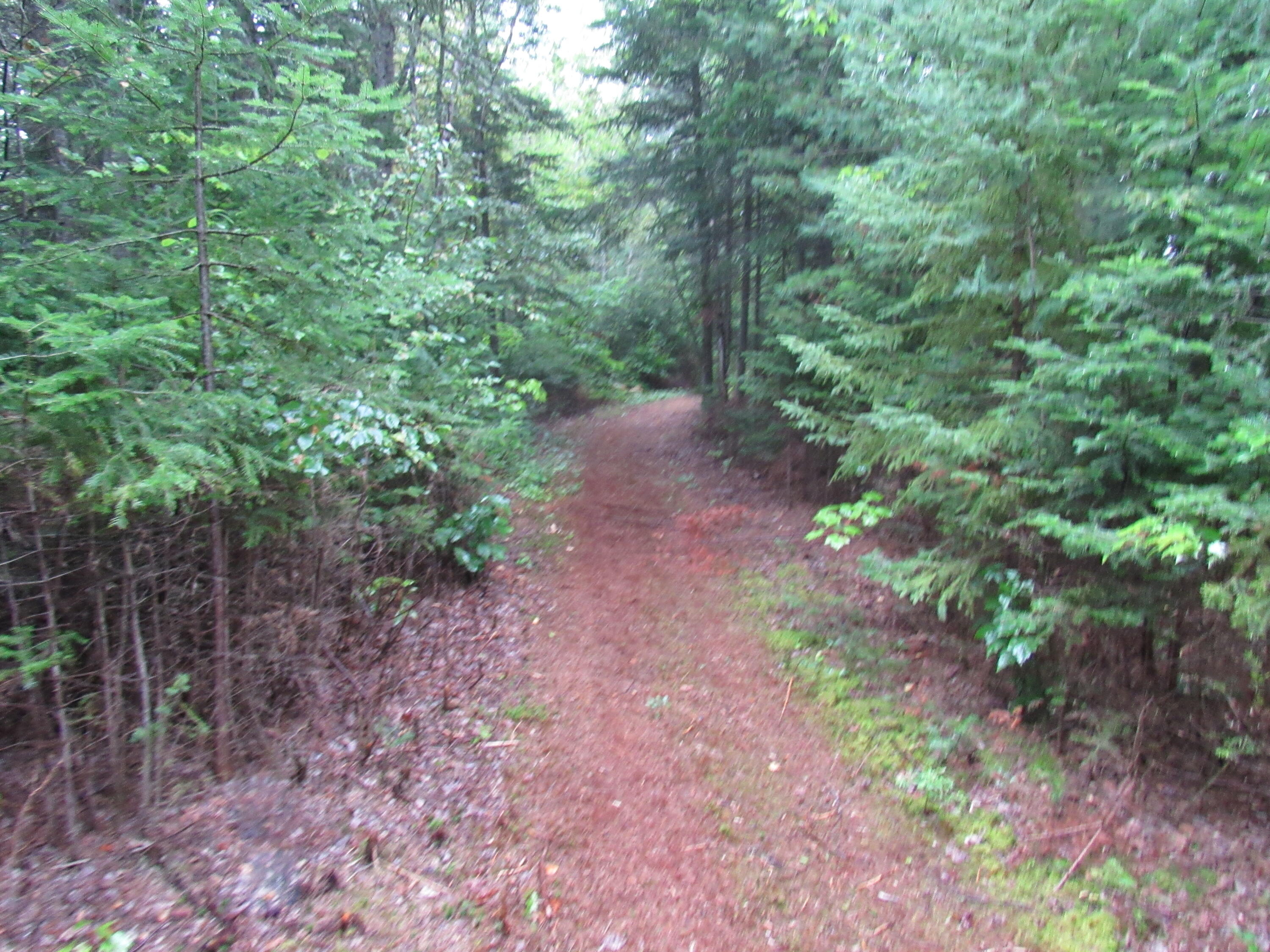 173 Long Pond Road Jackman, ME 04945 - Photo 3 of 3 IMG_5585