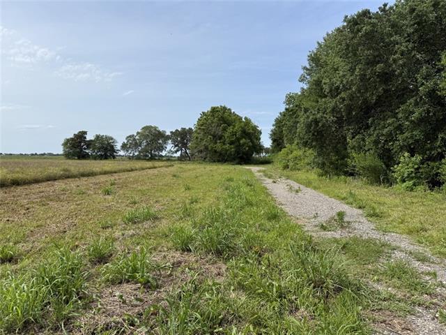 7040 Wilson Road Maurice, LA 70555 - Photo 4 of 7