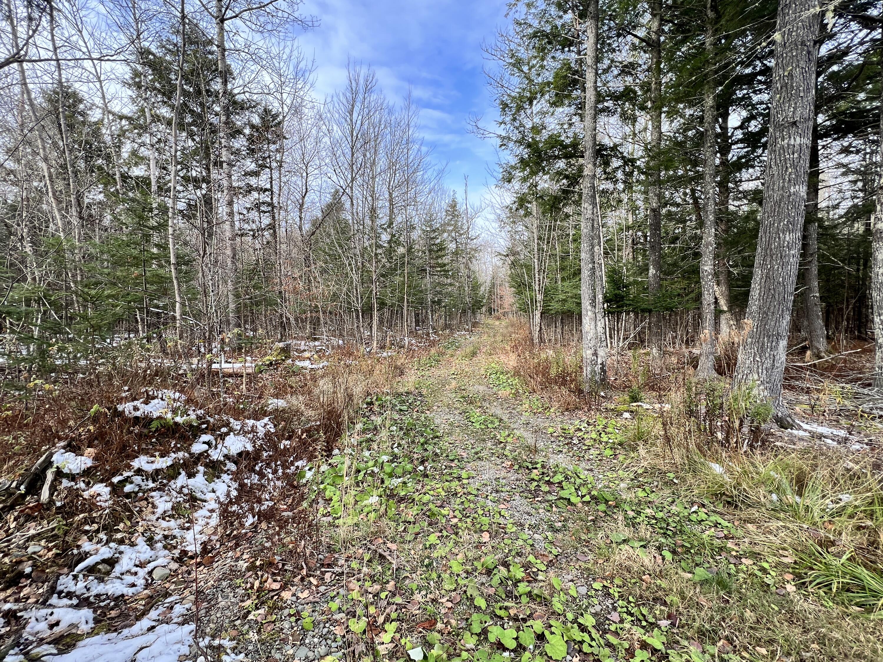 346 Harris Hill Road Weston, ME 04424 - Photo 45 of 50 IMG_9627
