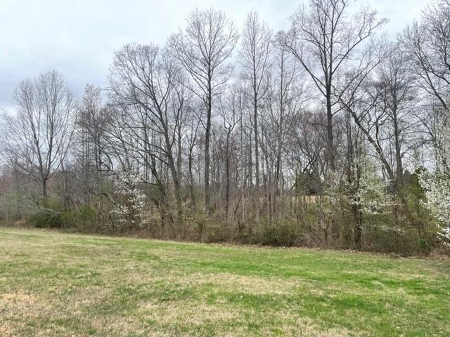 301 Wheat Road Columbia, KY 42728 - Photo 8 of 21 1258637-7