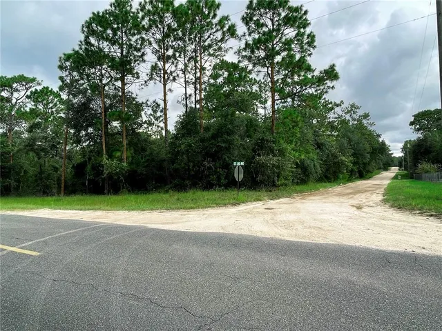 a view of road with trees