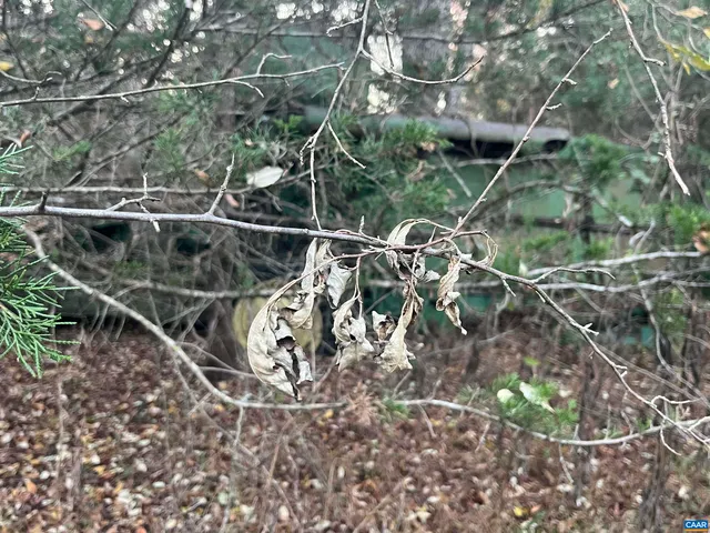 $1,000,000 | 0 Mitchell Ford Road, Lignum, VA 22726