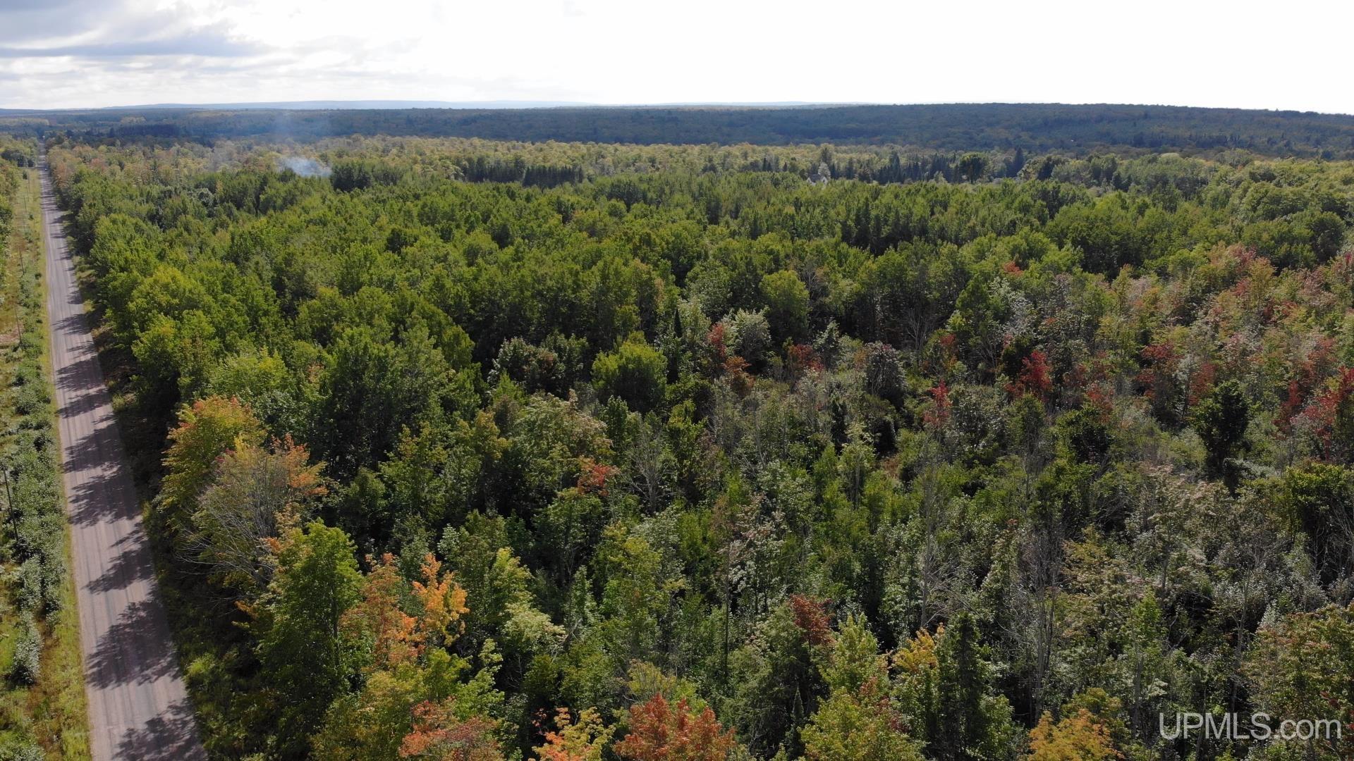 42587 Old Rink Road Toivola, MI 49965 - Photo 15 of 16 Gallery Image 15