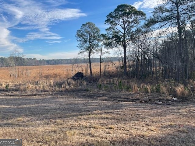 0 Hwy 301 South Register, GA 30452 - Photo 2 of 5 a view of a yard next to a lake