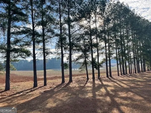 a view of outdoor space with street view