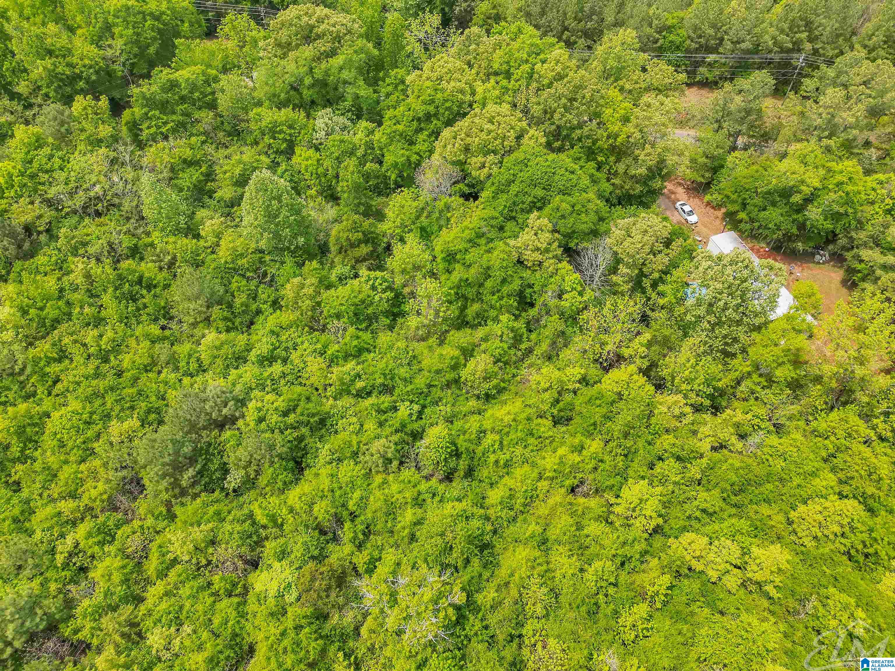 0 Moreland Road, Unit 1 Brierfield, AL 35035 - Photo 3 of 15