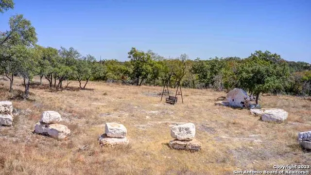 a view of a yard with a tree