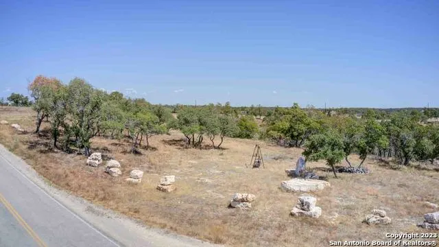a view of a dry yard with trees