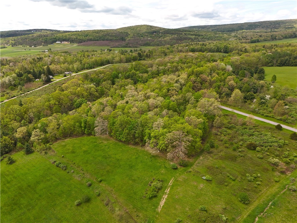 0 Middle Road Hammondsport, NY 14840 - Photo 11 of 20