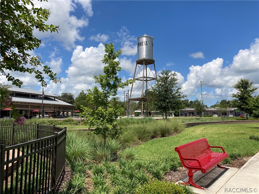 1504 North Foxboro Loop Crystal River, FL 34429 - Photo 50 of 52 Amazing Liberty Park in Inverness!