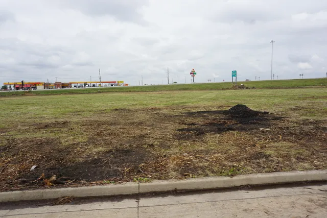 a view of a large body of water with lots of green space