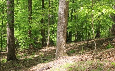 M26 Sleepy Hollow Road Ellijay, GA 30536 - Photo 3 of 20 Additional View