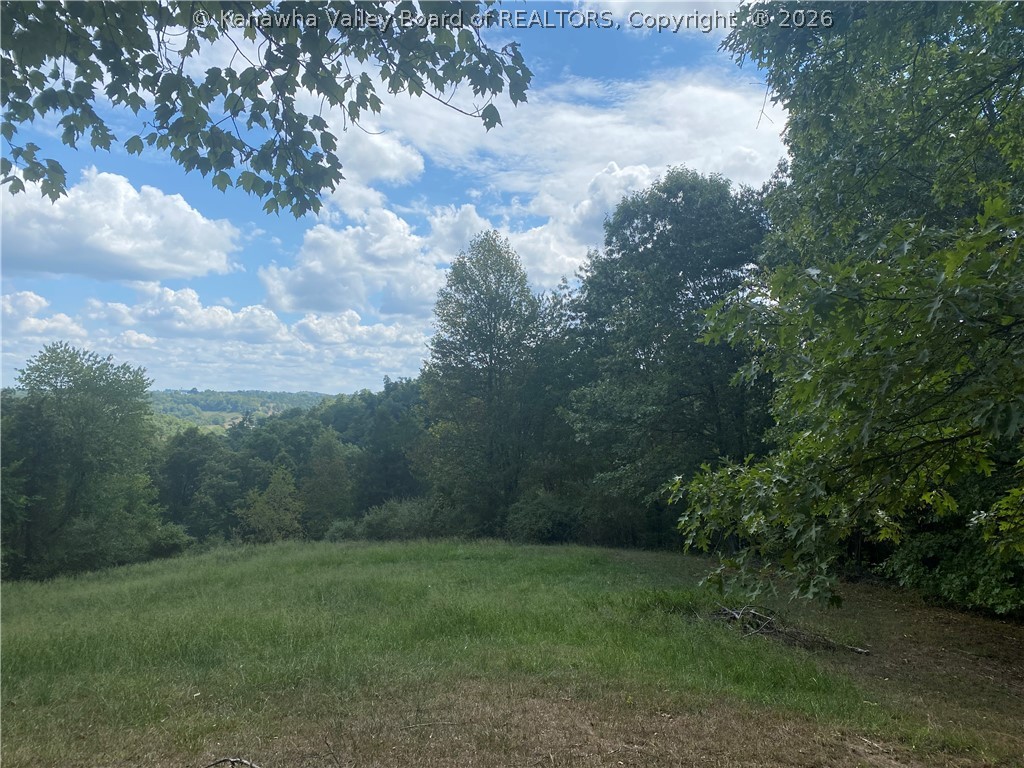 729 Bee Ridge Road Leon, WV 25123 - Photo 9 of 21 Gallery Image 9