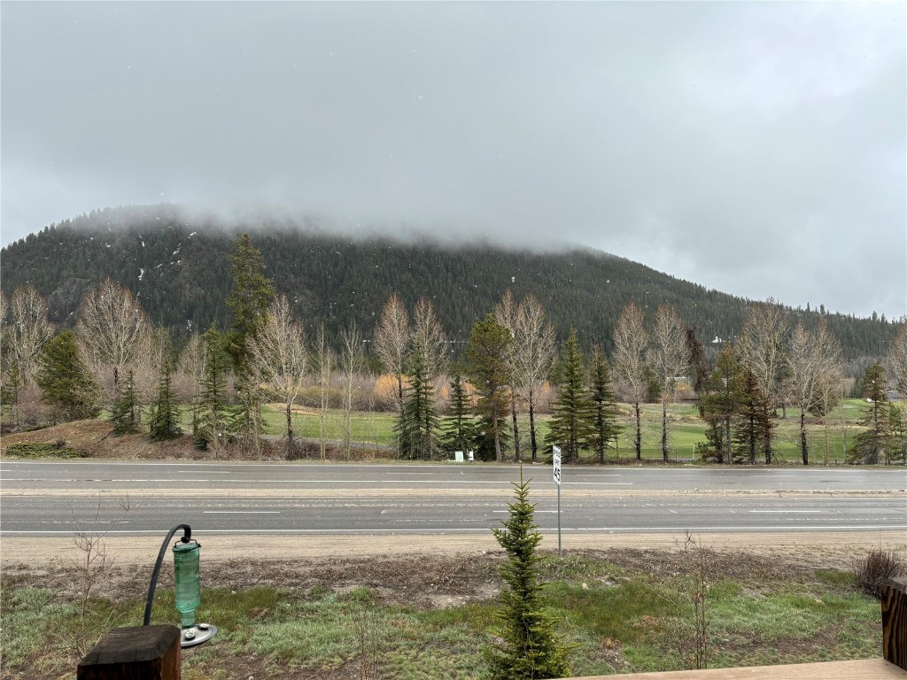 43 Wayback Drive Dillon, CO 80435 - Photo 15 of 17 a view of a yard