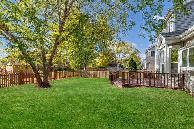 a view of a yard with a large trees