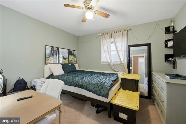 a view of a park with large trees