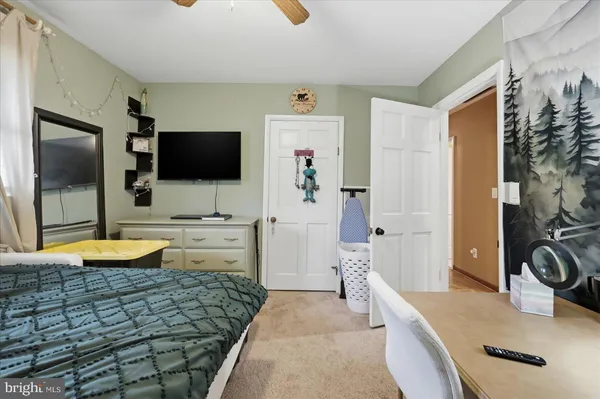 a view of a lake with a mountain in the background