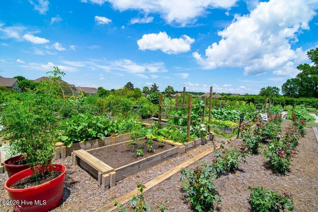 6482 Kirkwall Point Southwest Ocean Isle Beach, NC 28469 - Photo 85 of 87 community-gardens-5