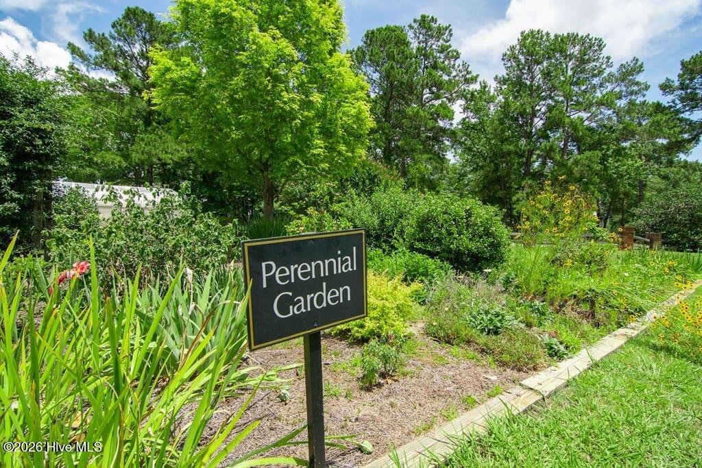 6482 Kirkwall Point Southwest Ocean Isle Beach, NC 28469 - Photo 87 of 91 community-gardens-3