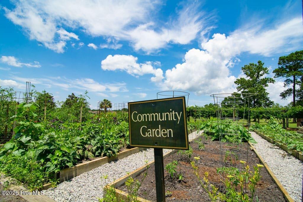 6482 Kirkwall Point Southwest Ocean Isle Beach, NC 28469 - Photo 88 of 91 community-gardens-4