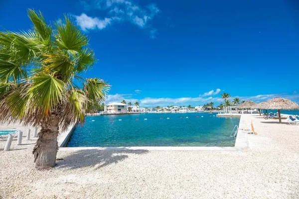 a view of a lake with a palm tree