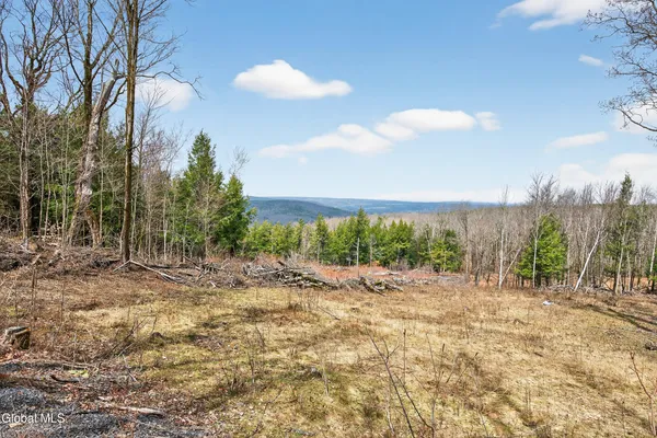 $425,000 | 54 High Point Road, Berne, NY 12023