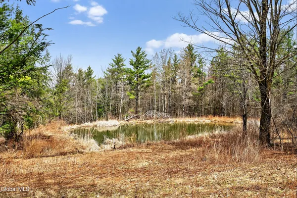 $425,000 | 54 High Point Road, Berne, NY 12023