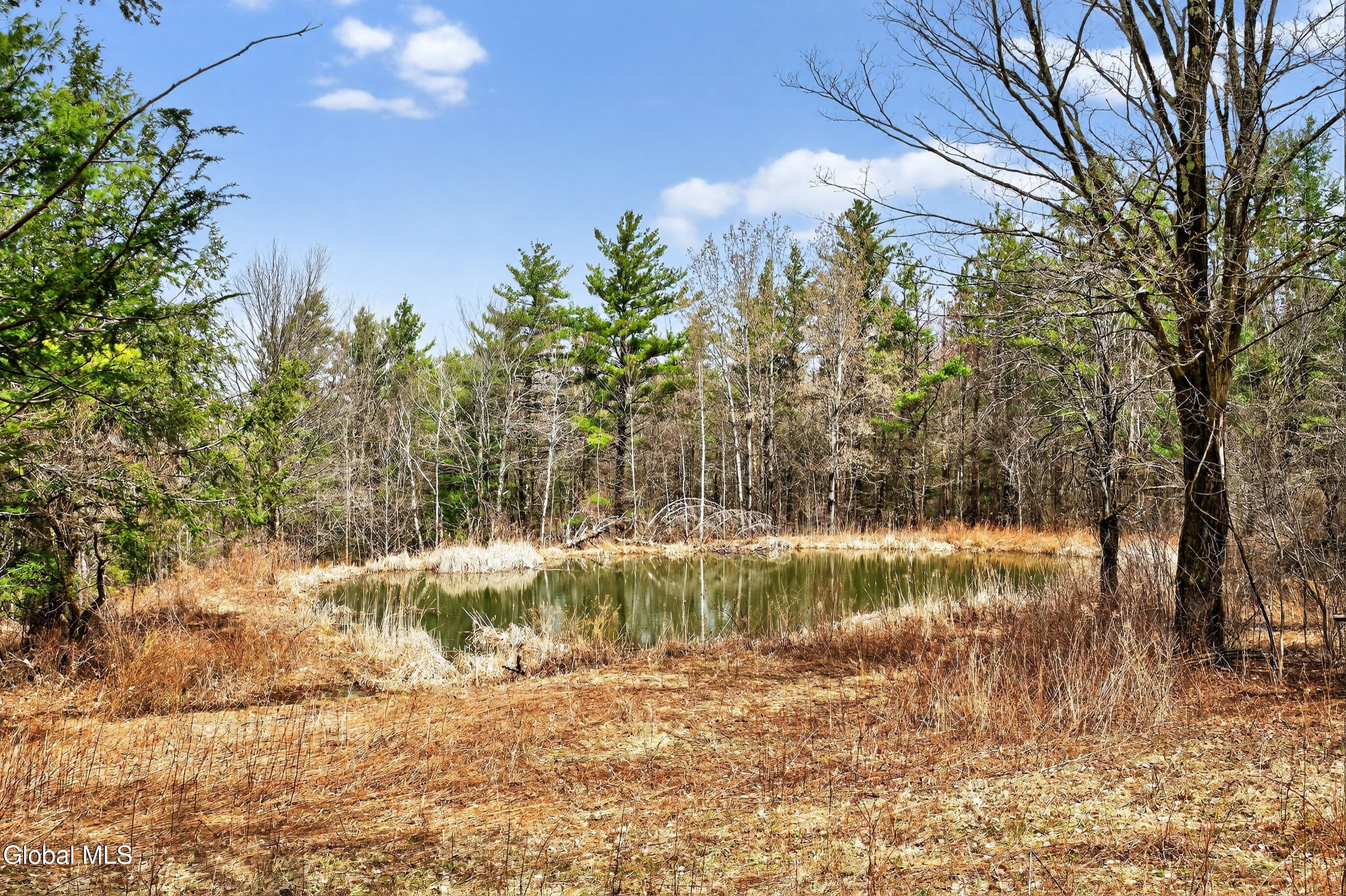 54 High Point Road Berne, NY 12023 - Photo 60 of 66 103-54-High-Point-Road-Berne-NY-12023