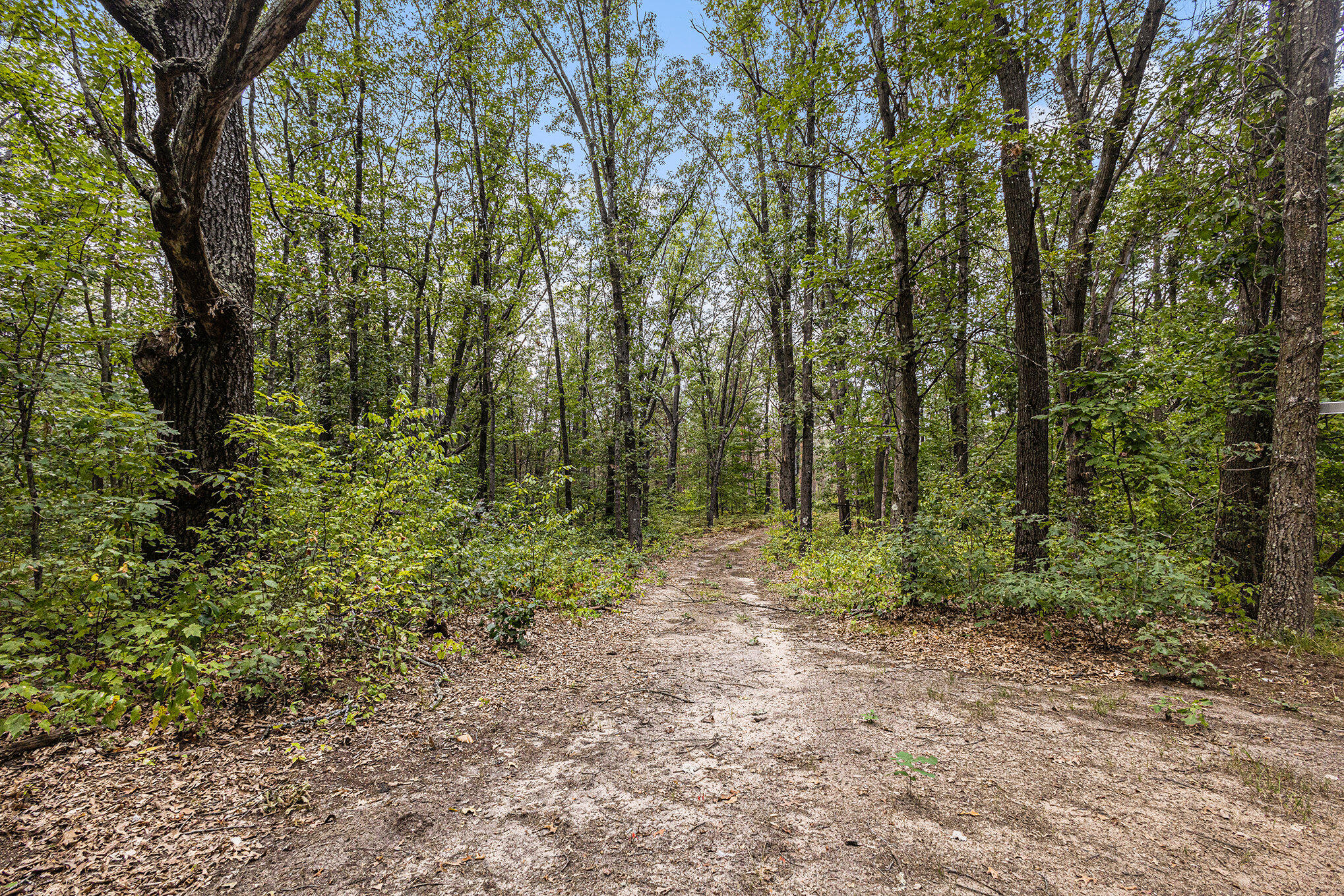 8893 Hayes Road Mecosta, MI 49332 - Photo 25 of 43 025_690a9685