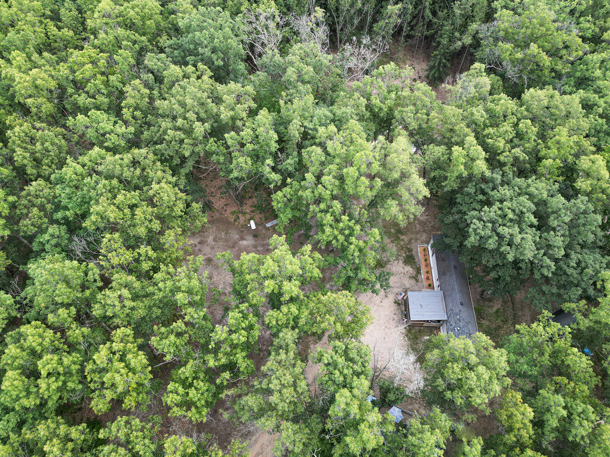 8893 Hayes Road Mecosta, MI 49332 - Photo 29 of 43 030_dji_0431