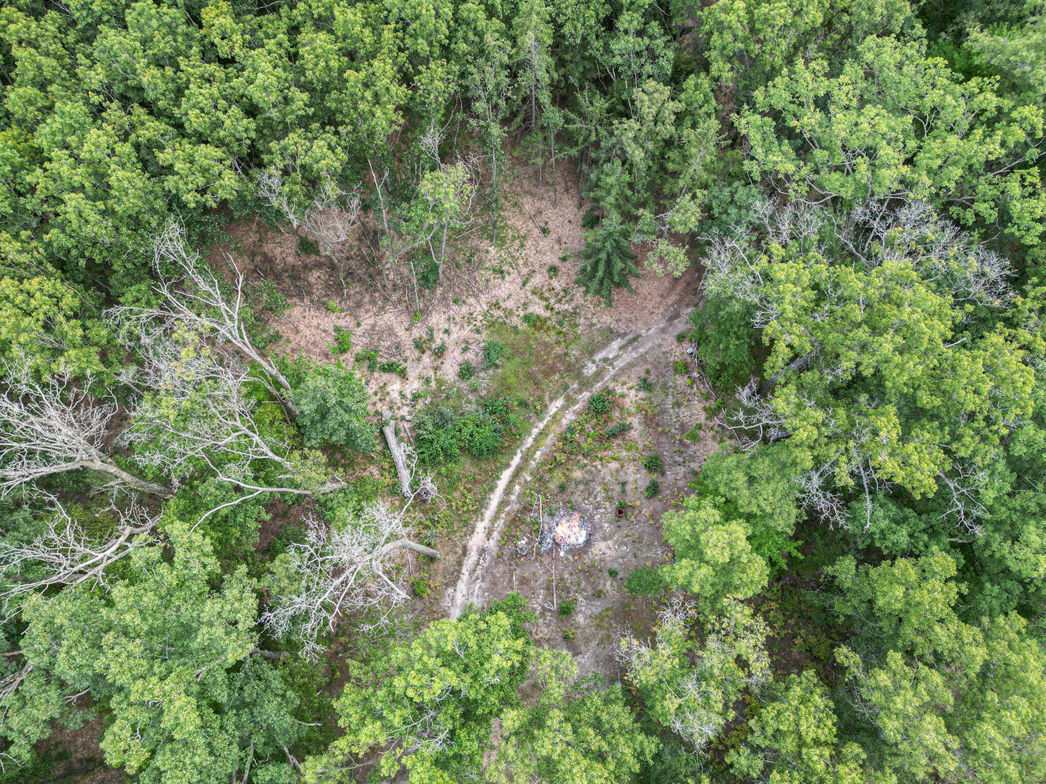 8893 Hayes Road Mecosta, MI 49332 - Photo 32 of 43 035_dji_0432
