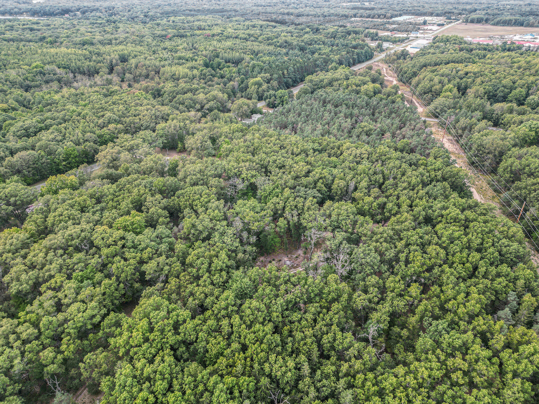 8893 Hayes Road Mecosta, MI 49332 - Photo 33 of 43 036_dji_0433