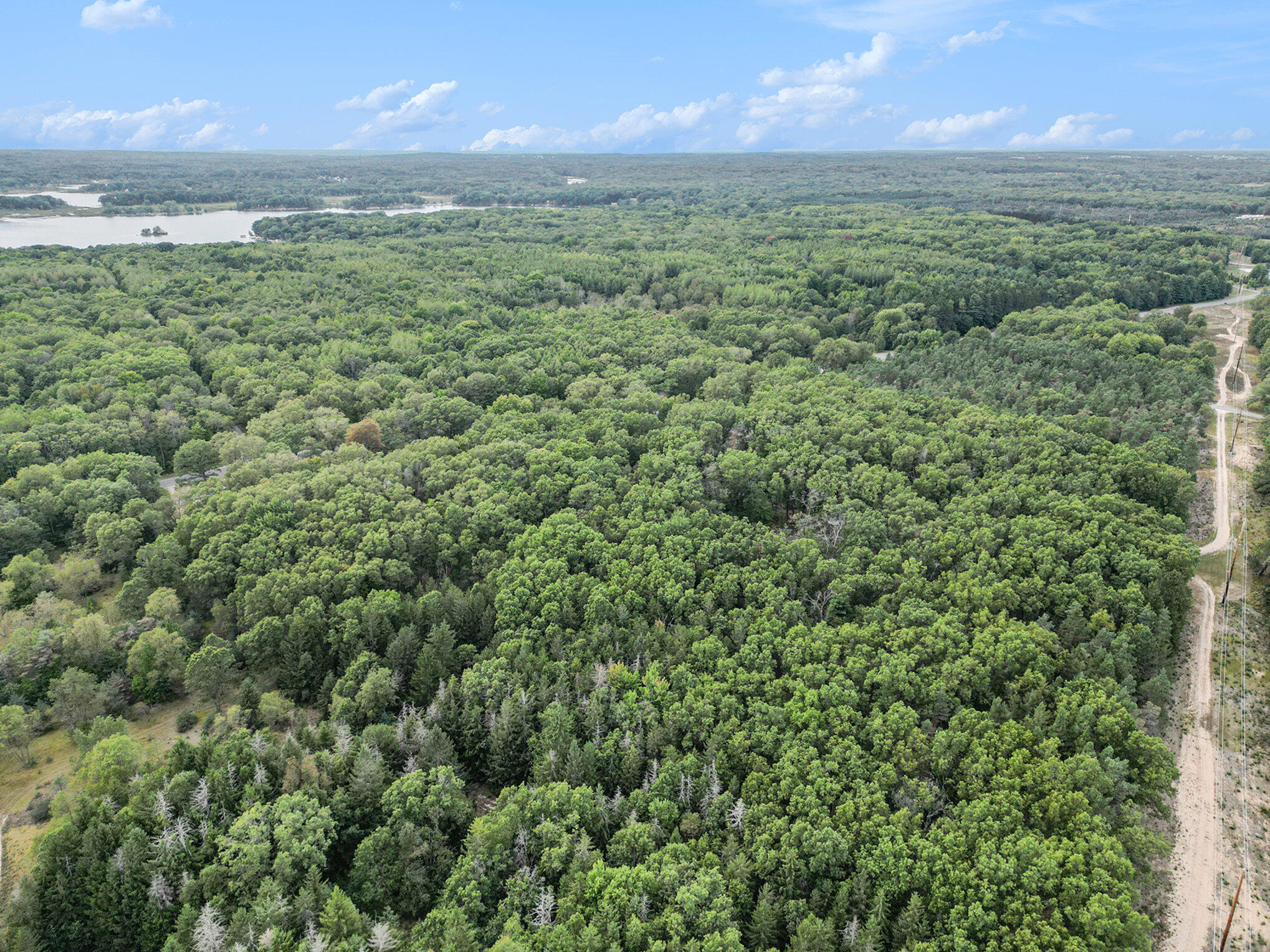 8893 Hayes Road Mecosta, MI 49332 - Photo 34 of 43 037_dji_0434
