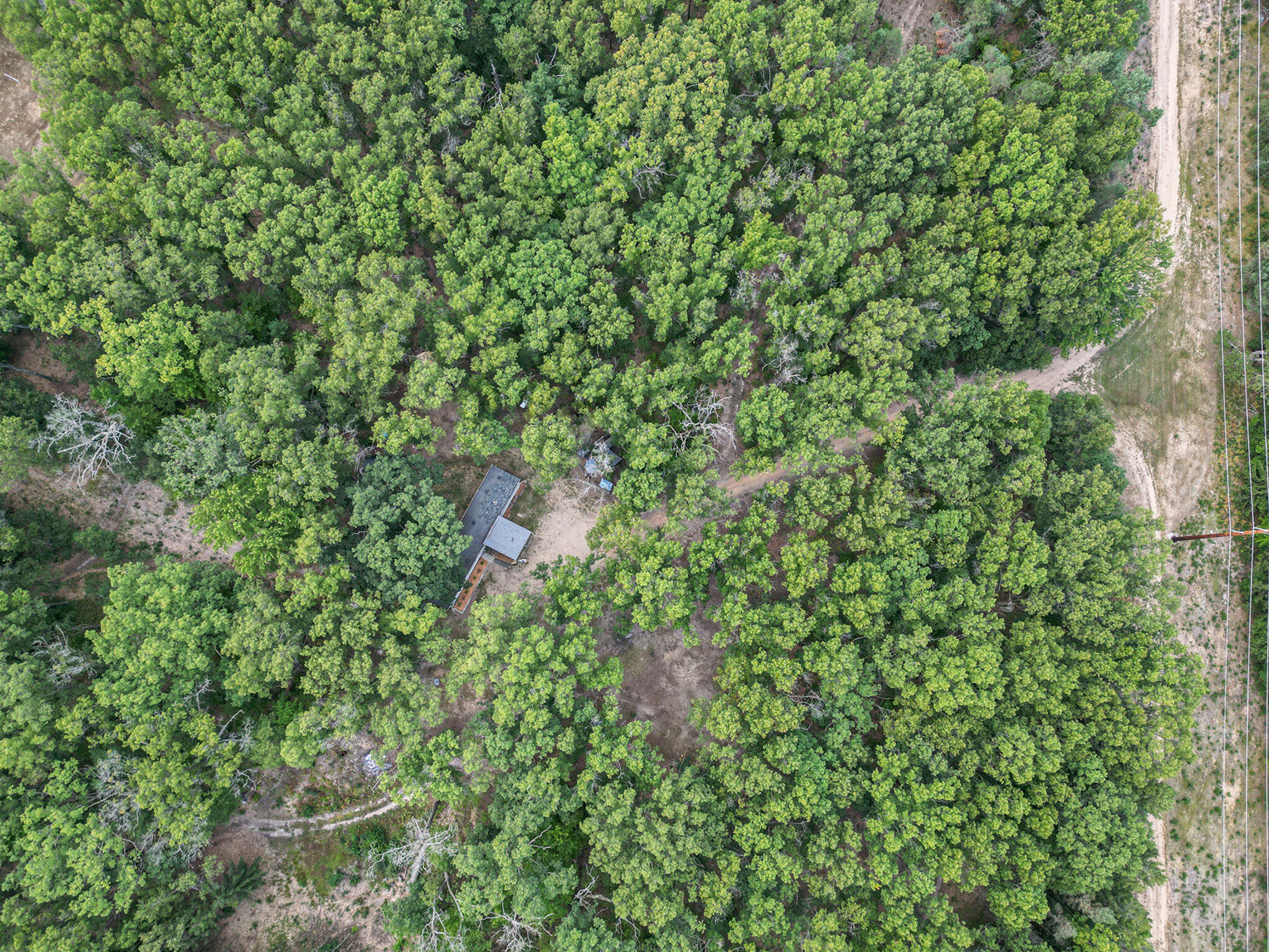 8893 Hayes Road Mecosta, MI 49332 - Photo 35 of 43 038_dji_0436