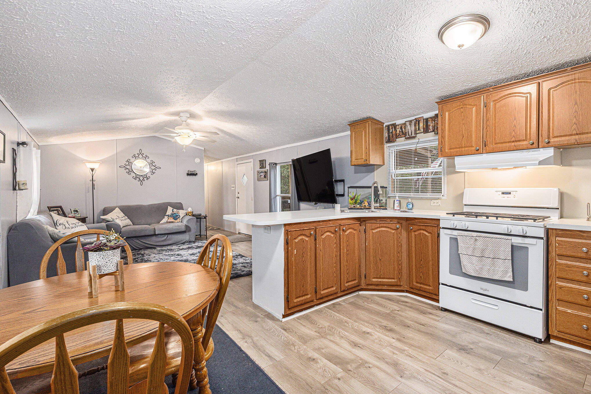 8893 Hayes Road Mecosta, MI 49332 - Photo 10 of 43 010_690a9669