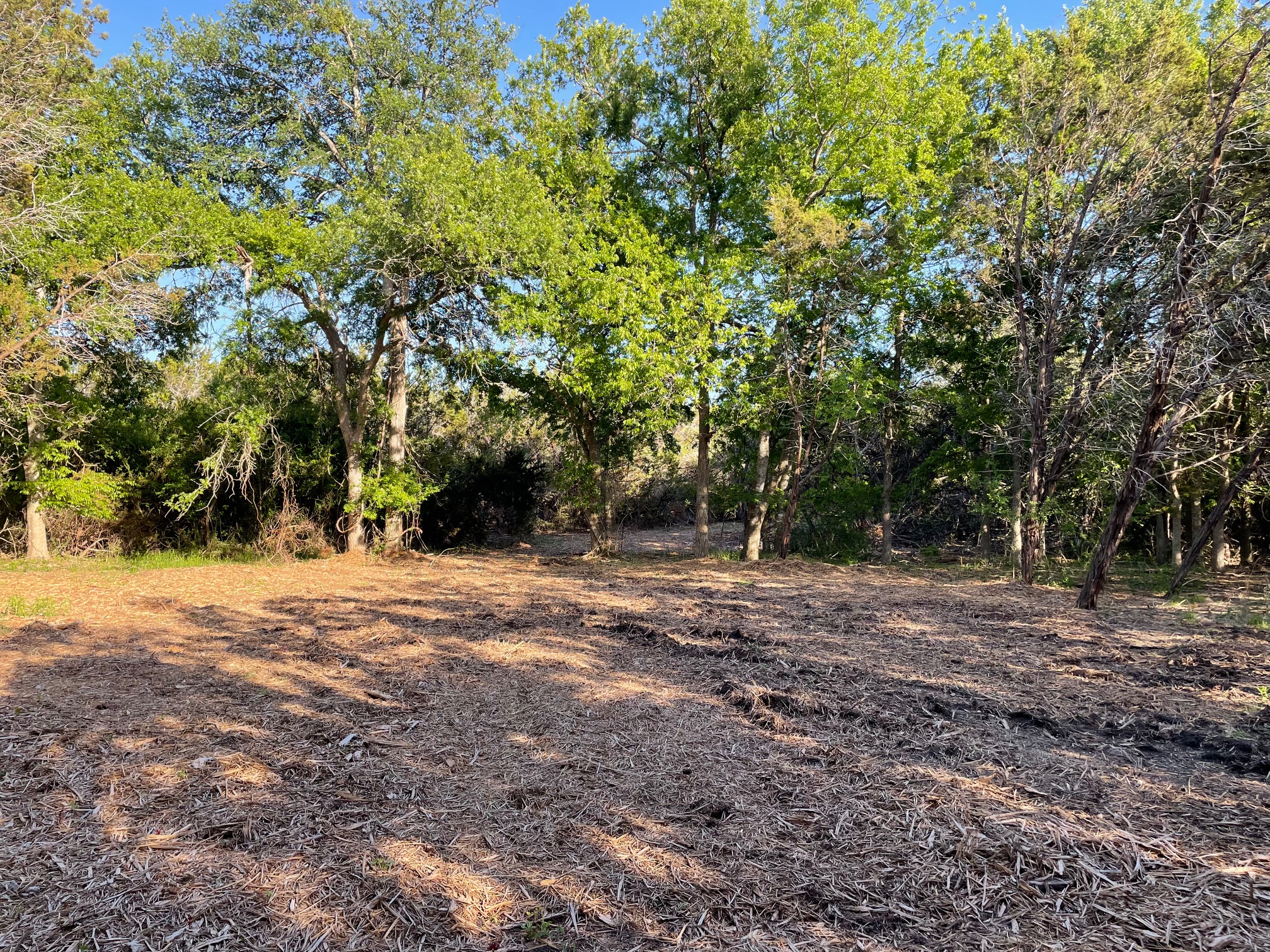 271 Ridgeline Road Leander, TX 78641 - Photo 2 of 20 a view of a yard with a tree