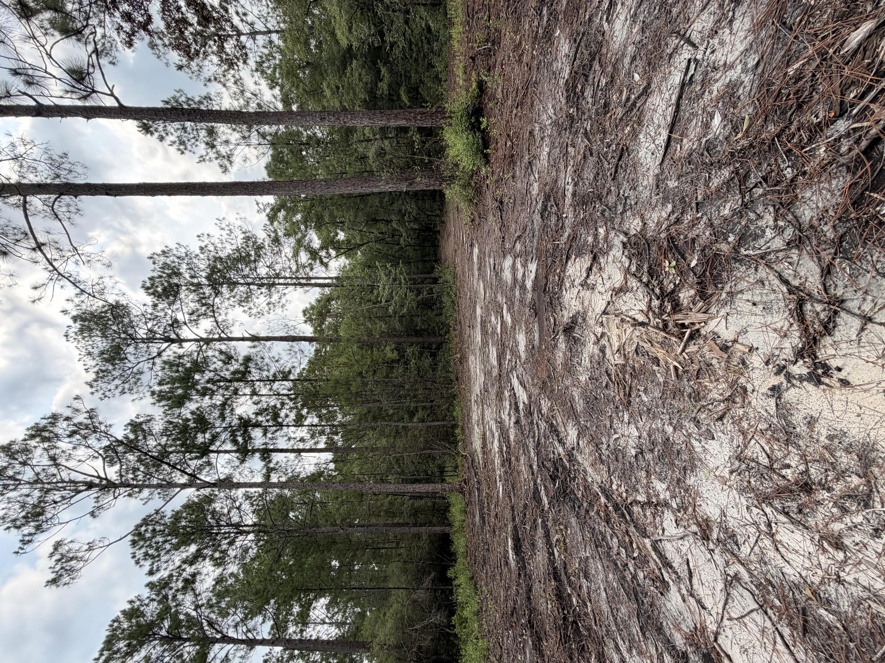 5266 Choctaw Road Vernon, FL 32462 - Photo 25 of 31 IMG_2647
