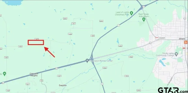 a view of yard with swimming pool and trees