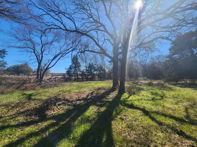 a view of a backyard with large trees
