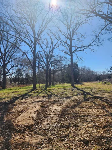 a view of dirt yard with large tree