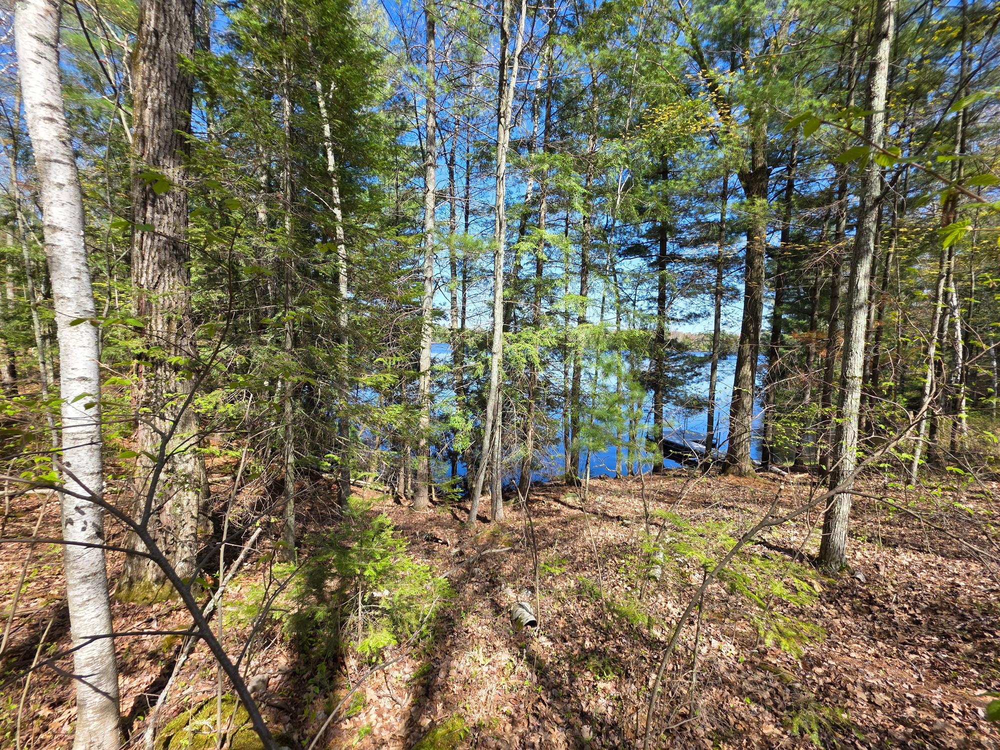 On Shady Shore Road West Tomahawk, WI 54487 - Photo 5 of 22